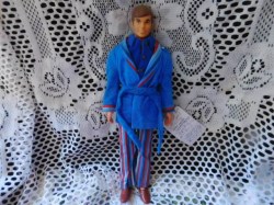 ken walk lively r17